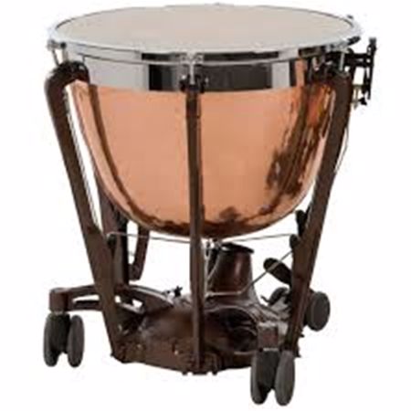 Slika za kategorijo pauke