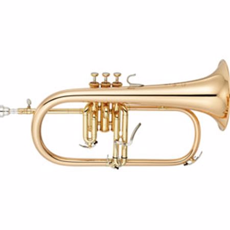 Slika za kategorijo Krilovke