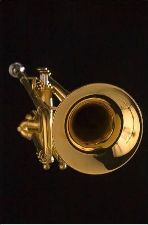 Slika Hub Van Laar - Bb trobenta model B8 - pozlačena