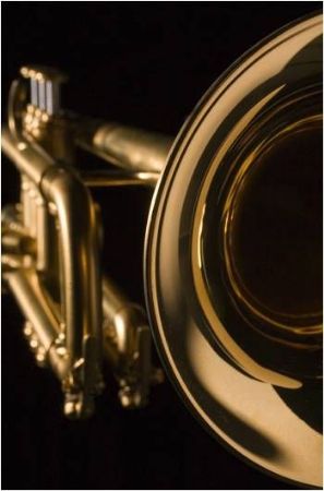 Slika Hub Van Laar - Bb trobenta model B3 - pozlačena