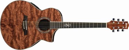 Slika IBANEZ EL. AKUSTIČNA KITARA EW20BGE-NT