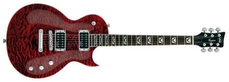 Slika VIG EL.KIT. ERUPT BLACKCHERY  503500{