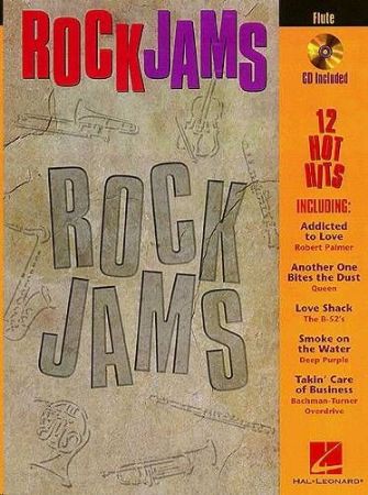 Slika ROCK JAMES 12 HOT HITS+CD FLUTE
