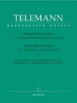 TELEMANN:METHODICAL SONATAS  VOL.2