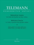 TELEMANN:METHODICAL SONATAS VOL.3