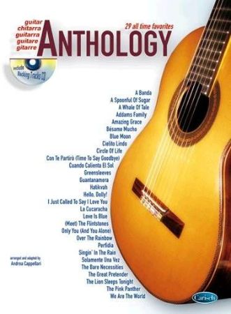 GUITAR ANTHOLOGY VOL.1+CD 29 ALL TIME FAVORITES