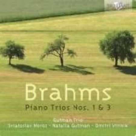 BRAHMS:PIANO TRIO. 1 & 3