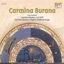 Slika ORFF C-CARMINA BURANA