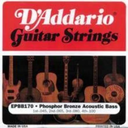 Slika DAddario strune za akustično bas kitaro EPBB170  45-100 ph.br.