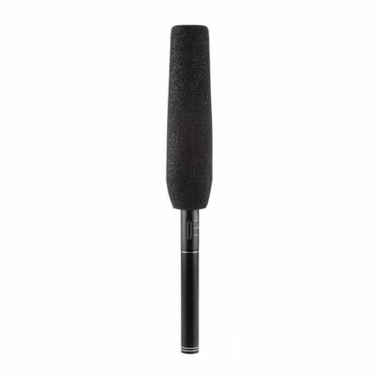 proel mikrofon MFC81 Shotgun style condenser microphone