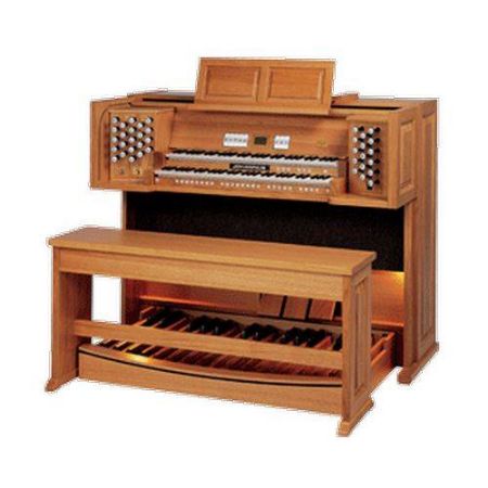 JOHANNUS ORGLE REMBRANDT 275