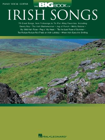 THE BIG BOOK OF IRISH SONGS,PVG