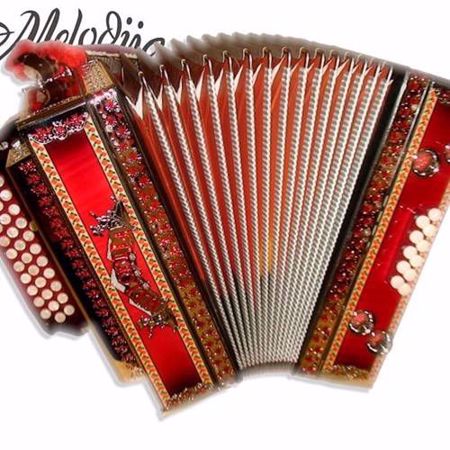 Slika za kategorijo diatonične harmonike