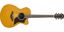 ELEKTRO AKUSTIČNA KITARA YAMAHA AC1M II VINTAGE NATURAL S KOVČKOM