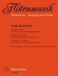 BOCCHERINI:KONZERT IN D-DUR FLUTE