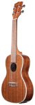 KALA CONCERT UKULLELE KALA KA-CGE - Gloss Mahogany with EQ & Ba