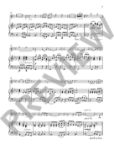 VIOLINISSIMO/THE ENTERTAINER 33 POPULAR PIECES FOR VIOLIN AND PIANO