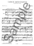 BOZZA:CAPRICE-IMPROVISATION CLARINETTE & PIANO