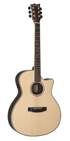 ESP LTD elektro akustična kitara Tombstone A-430E