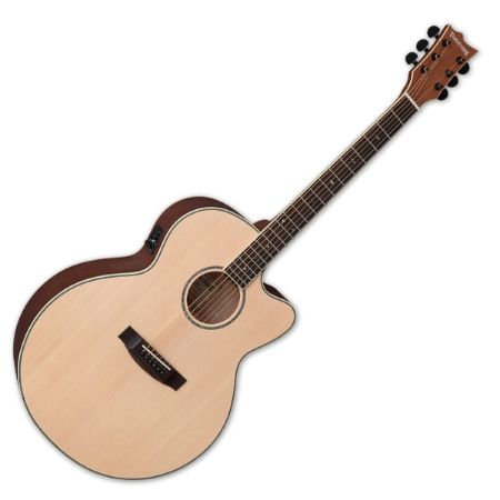 ESP LTD elektro akustična kitara Tombstone J-310E