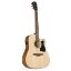 IBANEZ AKUSTIČNA KITARA V40-OPN