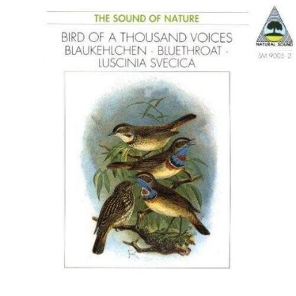 THE SOUND OF NATURE/BIRD OF A THOUSAND VOICES BLAUKEHLCHEN/BLUETHEOAT