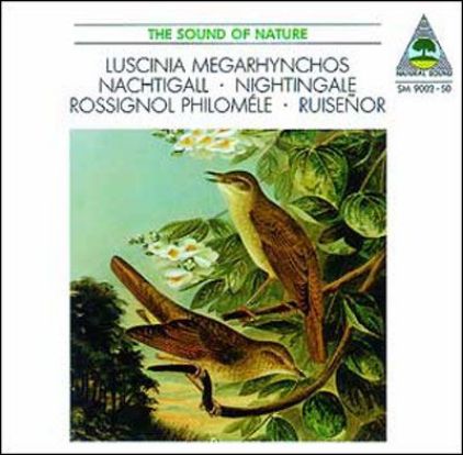THE SOUND OF NATURE/NACHTIGAL