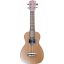 LEHO SOPRAN UKULELE LHUS-CAK-220S Sopran Acacia/Cedar All Solid w/bag