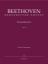 BEETHOVEN:STRING QUARTET OP.18 CRITICAL COMMENTARY