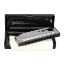 CASCHA ustna hamonika Blues Harmonica in G Diatonic HH 2157