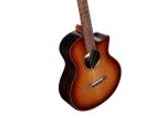 ALVAREZ ELEKTRO AKUSTIČNA KITARA LJE95CEARSHB Shadowburst w/bigbag
