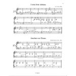 SUITNER:DAS KLEINE SAITENSPIEL 2