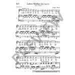 LOHMANN:DAS LIED IM UNTERRICHT MITTLERE ODER TIEFE STIMME