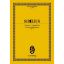 SIBELIUS:CONCERTO FOR VIOLIN  OP.47 STUDY SCORE