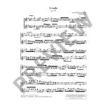 JUNK:DUETS FOR FUN FOR 2 ALTO SAXOPHONES