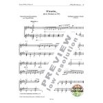 LLOBET GUITAR WORKS VOL.9 FOR DUO