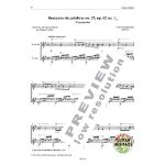 LLOBET GUITAR WORKS VOL.9 FOR DUO