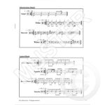 RICHTER:DIE SILBERNE ARA SCHLAGINSTRUMENTE