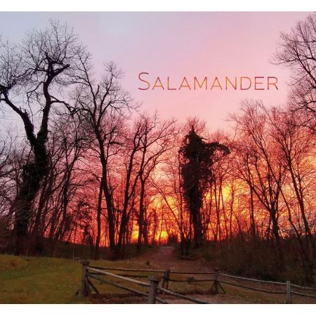 SALAMANDER/MILAN DEKLEVA/JERKO NOVAK