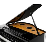 ELEKTRIČNI KLAVIR YAMAHA CLAVINOVA CLP-895GP