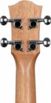 CASCHA Concert Ukulele Sketch incl.bag HH-2605