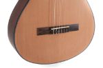 KLASIČNA KITARA GEWA STUDENT 4/4 CEDRA