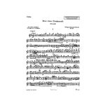 MOZART:EINE KLEINE NACHTMUSIK VIOLIN AND PIANO