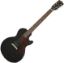 GIBSON ELEKTRIČNA KITARA Les Paul Junior EB