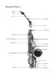 TERRY:STEP ONE PLAY TENOR SAX + AUDIO ACCESS