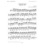 MERTZ:GUITAR WORKS 12 STUDIES & WORKS VOL.11