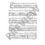 STRAUSS: WALZER ALBUM VIOLINE AND PIANO