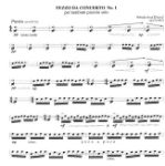 ŽIVKOVIĆ:PEZZO DA CONCERTO NR.1