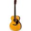 MARTIN AKUSTIČNA KITARA 000-28EC Eric Clapton Custom & Special Editions w/case