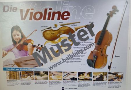 POSTER VIOLINA